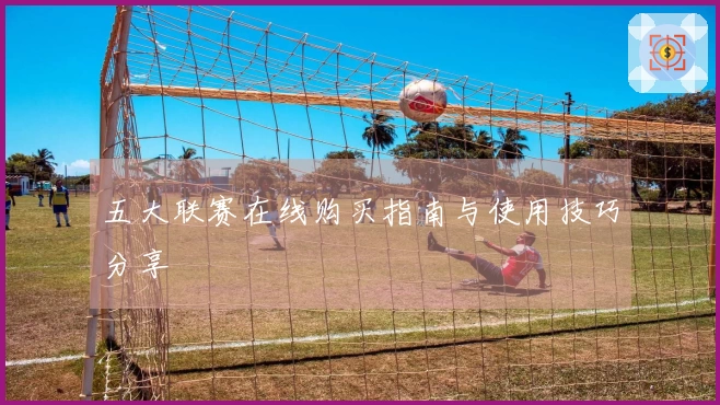 五大联赛在线购买指南与使用技巧分享