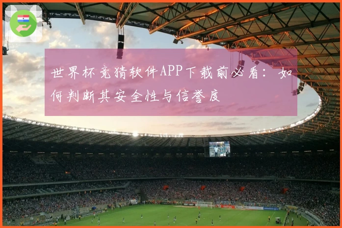 世界杯竞猜软件APP下载前必看：如何判断其安全性与信誉度
