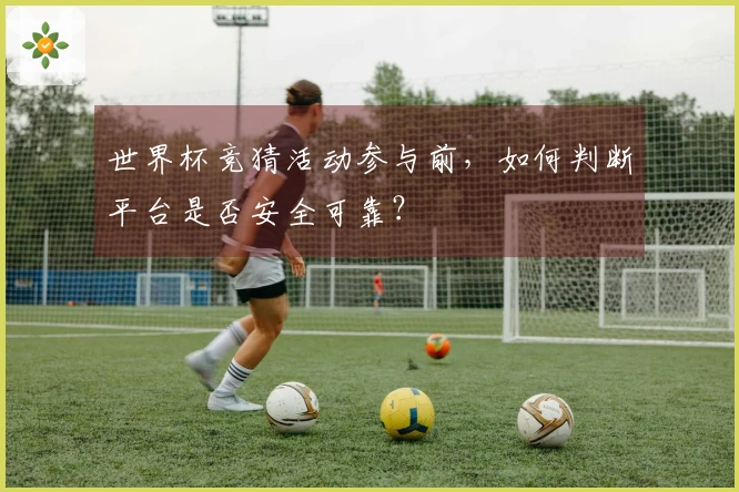 世界杯竞猜活动参与前，如何判断平台是否安全可靠？