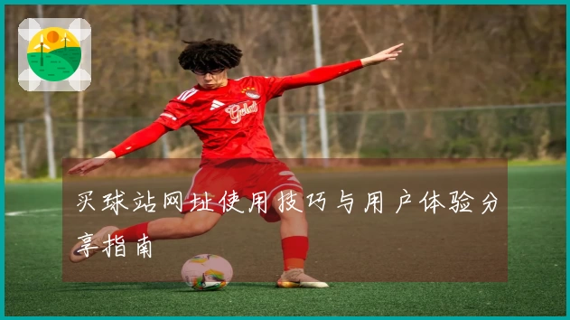 买球站网址使用技巧与用户体验分享指南