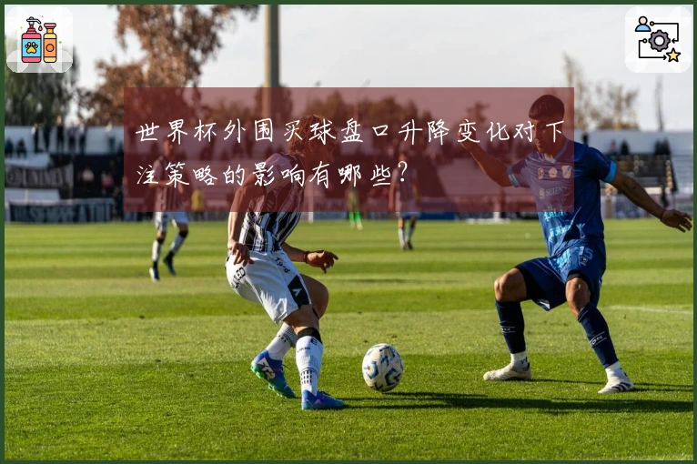 世界杯外围买球盘口升降变化对下注策略的影响有哪些？
