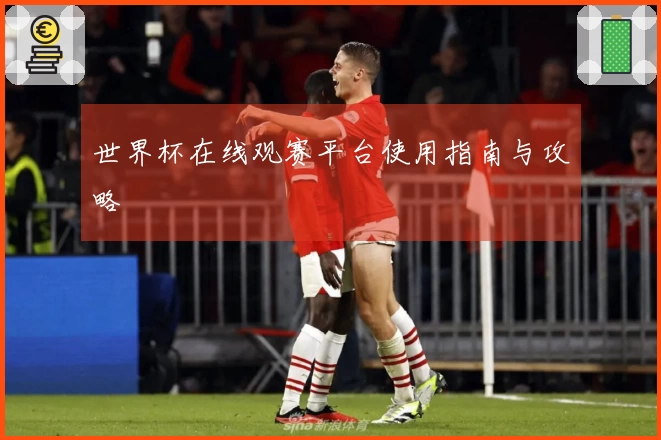 世界杯在线观赛平台使用指南与攻略
