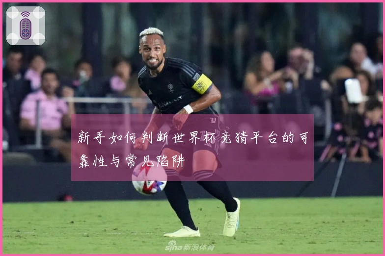 新手如何判断世界杯竞猜平台的可靠性与常见陷阱