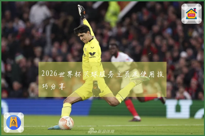 2026世界杯买球服务主页及使用技巧分享