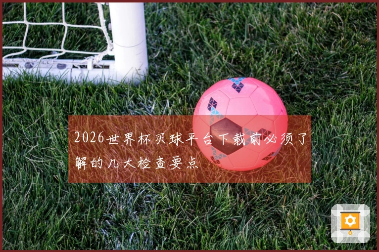2026世界杯买球平台下载前必须了解的几大检查要点