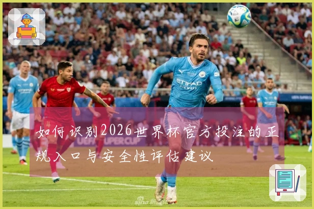 如何识别2026世界杯官方投注的正规入口与安全性评估建议