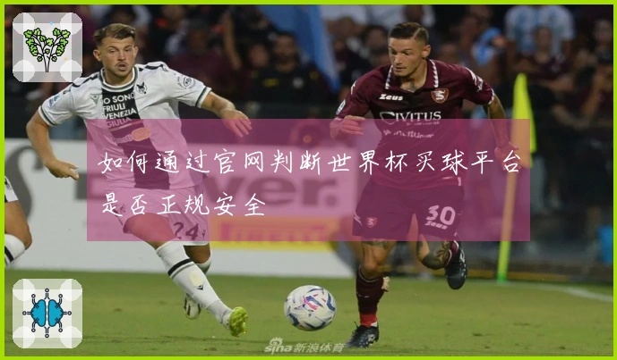 如何通过官网判断世界杯买球平台是否正规安全