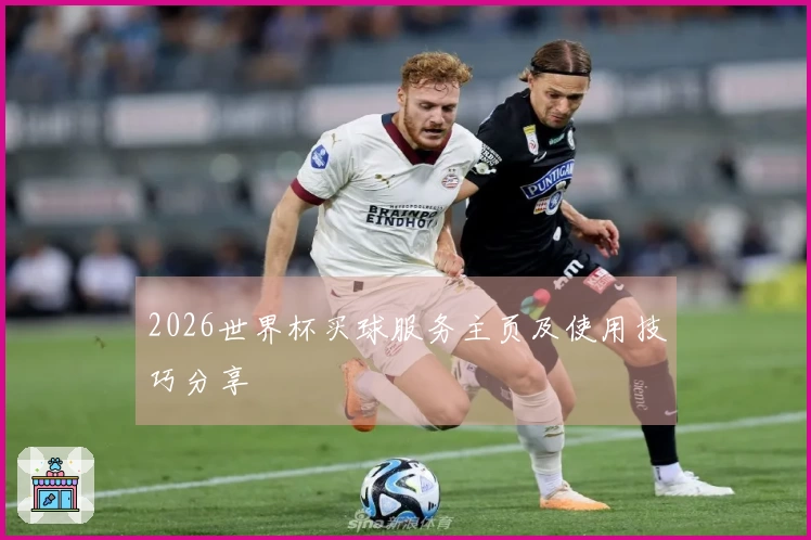 2026世界杯买球服务主页及使用技巧分享