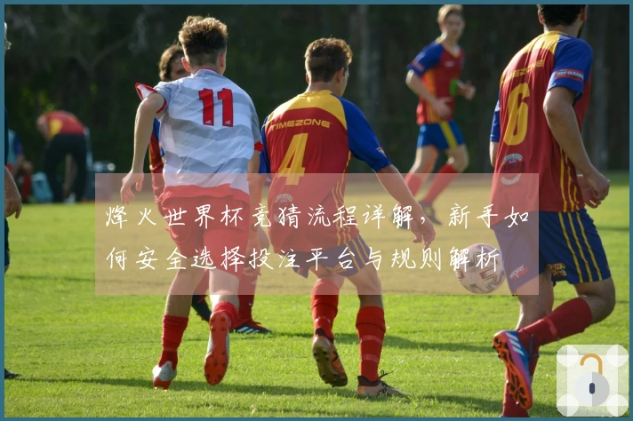 烽火世界杯竞猜流程详解，新手如何安全选择投注平台与规则解析