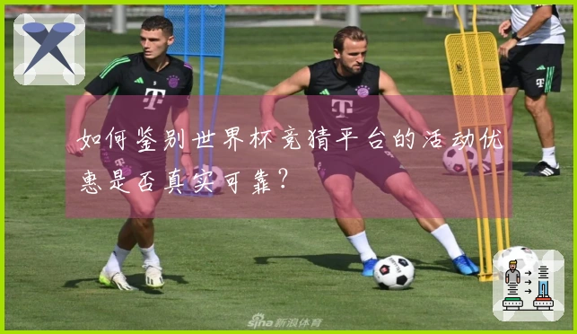 如何鉴别世界杯竞猜平台的活动优惠是否真实可靠？