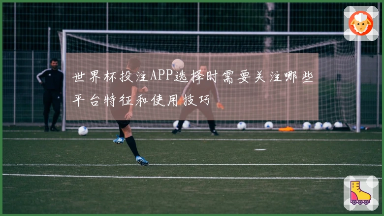 世界杯投注APP选择时需要关注哪些平台特征和使用技巧