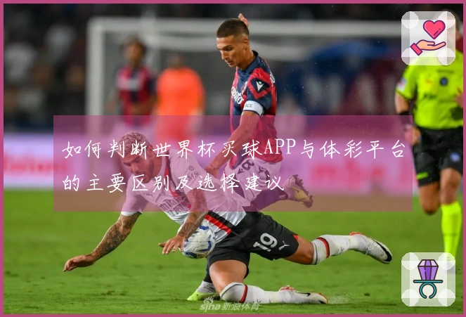 如何判断世界杯买球APP与体彩平台的主要区别及选择建议