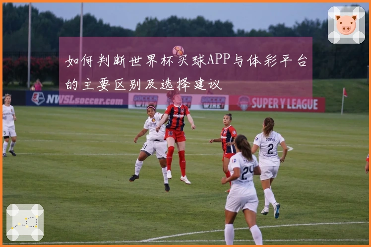 如何判断世界杯买球APP与体彩平台的主要区别及选择建议