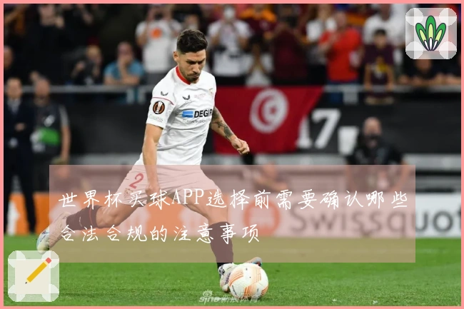 世界杯买球APP选择前需要确认哪些合法合规的注意事项