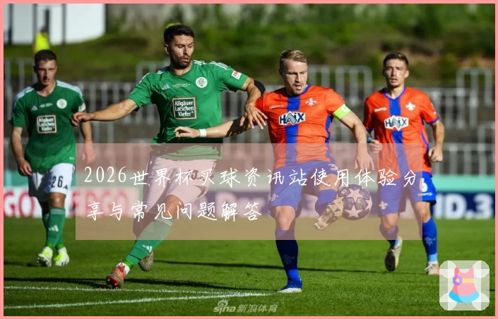 2026世界杯买球资讯站使用体验分享与常见问题解答