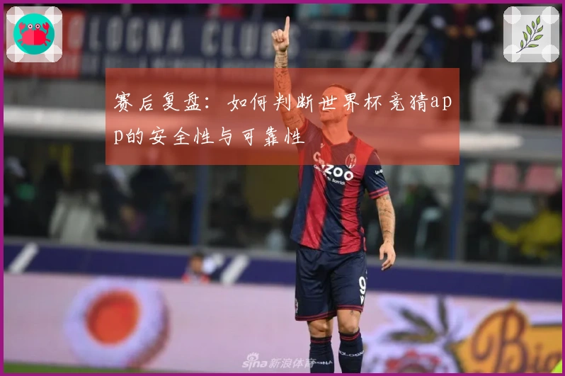 赛后复盘：如何判断世界杯竞猜app的安全性与可靠性