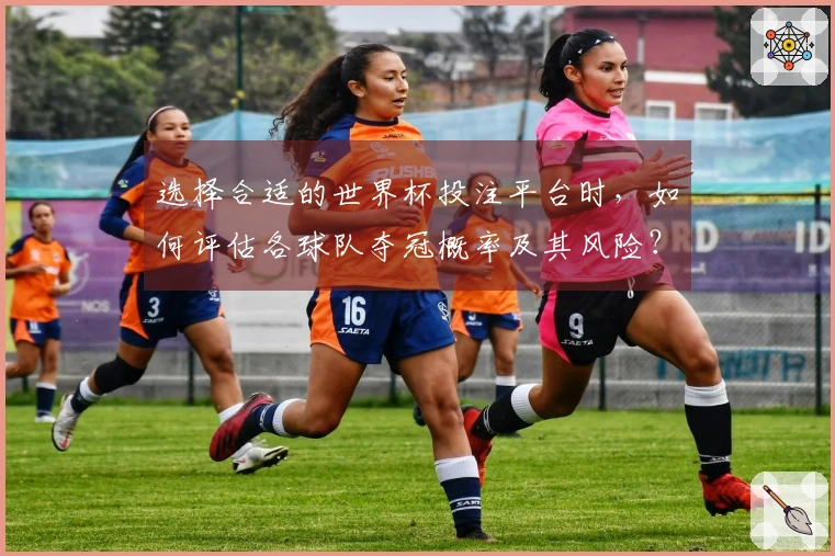 选择合适的世界杯投注平台时，如何评估各球队夺冠概率及其风险？