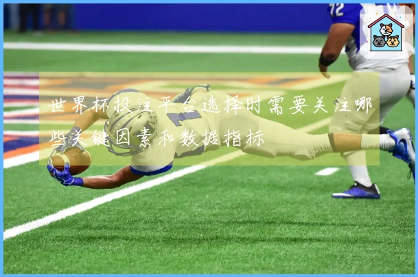 世界杯投注平台选择时需要关注哪些关键因素和数据指标