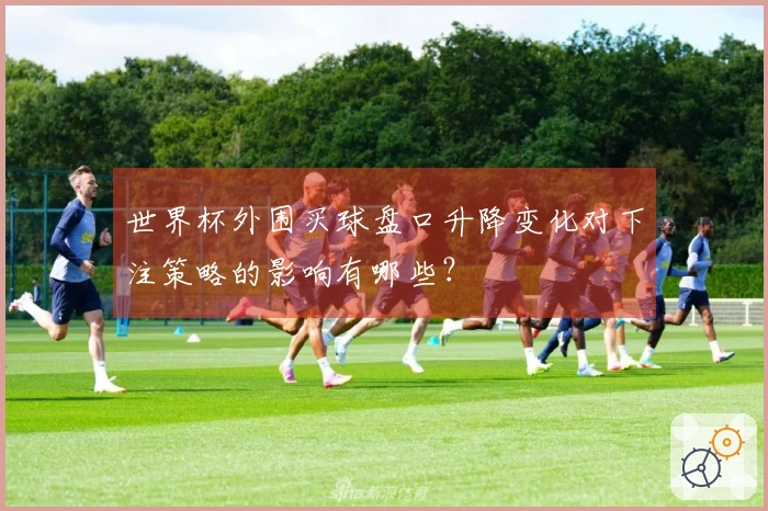 世界杯外围买球盘口升降变化对下注策略的影响有哪些？