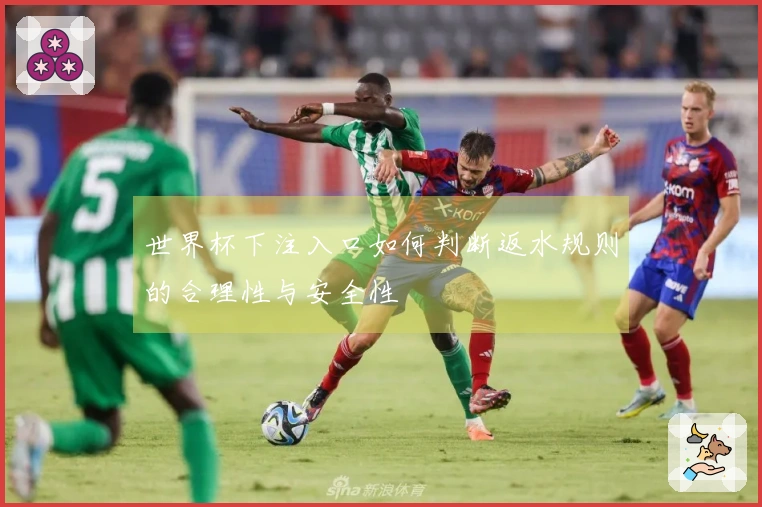 世界杯下注入口如何判断返水规则的合理性与安全性