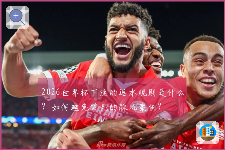 2026世界杯下注的返水规则是什么？如何避免常见的踩坑案例？