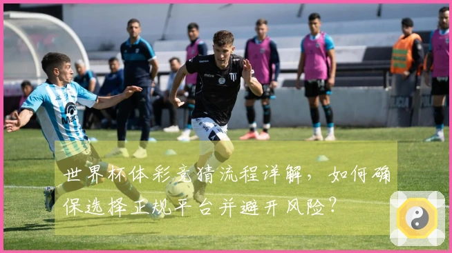 世界杯体彩竞猜流程详解，如何确保选择正规平台并避开风险？