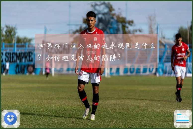 世界杯下注入口的返水规则是什么？如何避免常见的陷阱？