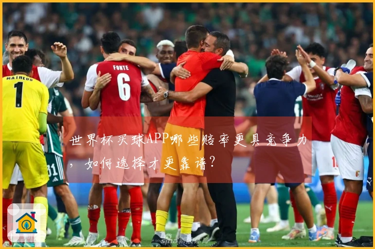 世界杯买球APP哪些赔率更具竞争力，如何选择才更靠谱？