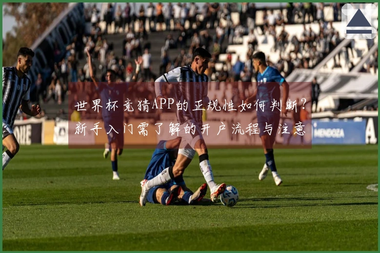 世界杯竞猜APP的正规性如何判断？新手入门需了解的开户流程与注意事项