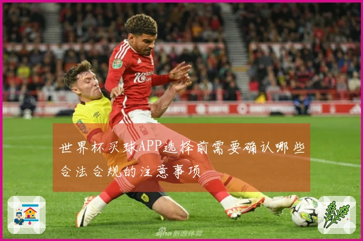 世界杯买球APP选择前需要确认哪些合法合规的注意事项