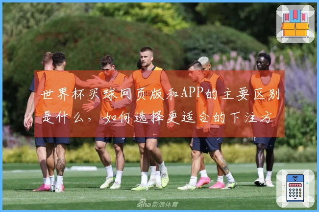 世界杯买球网页版和APP的主要区别是什么，如何选择更适合的下注方式？