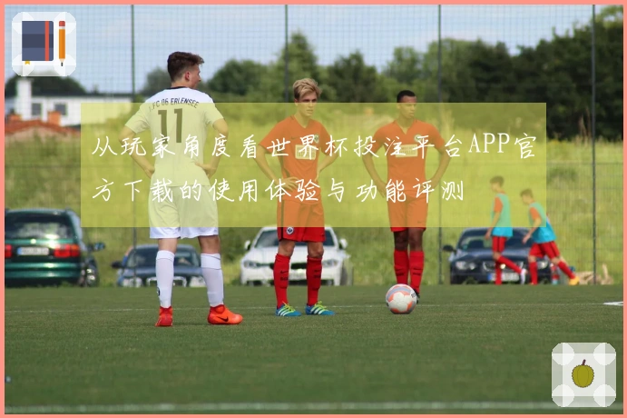 从玩家角度看世界杯投注平台APP官方下载的使用体验与功能评测
