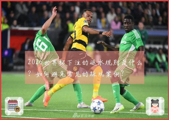 2026世界杯下注的返水规则是什么？如何避免常见的踩坑案例？