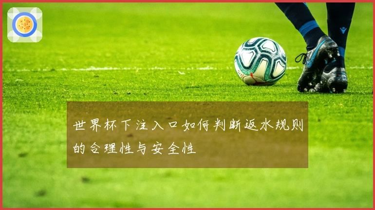世界杯下注入口如何判断返水规则的合理性与安全性